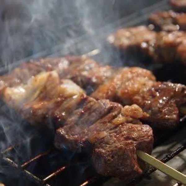 牛肉バルプロット