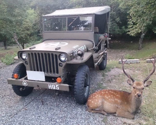 Jeep ウィリス